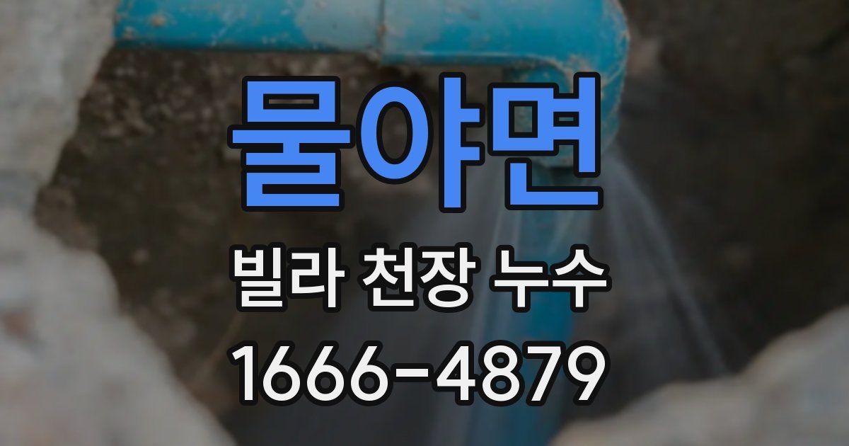 물야면 빌라 천장 누수