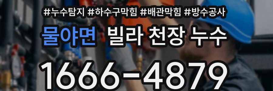 물야면 빌라 천장 누수