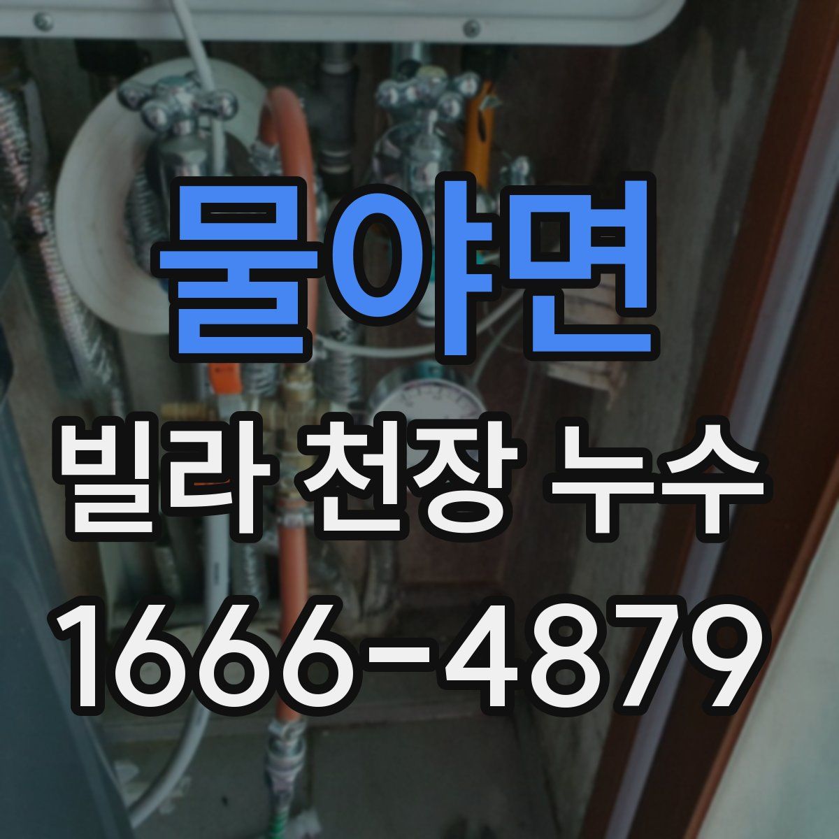 물야면 빌라 천장 누수