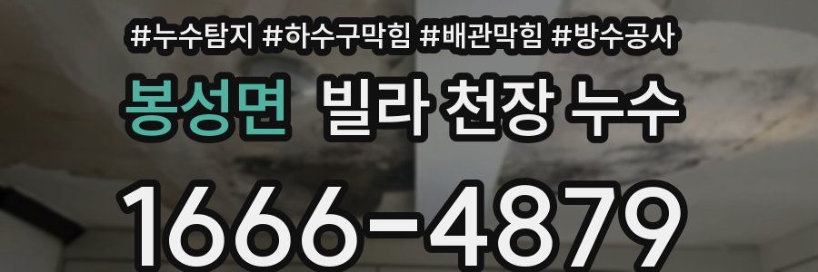 봉성면 빌라 천장 누수