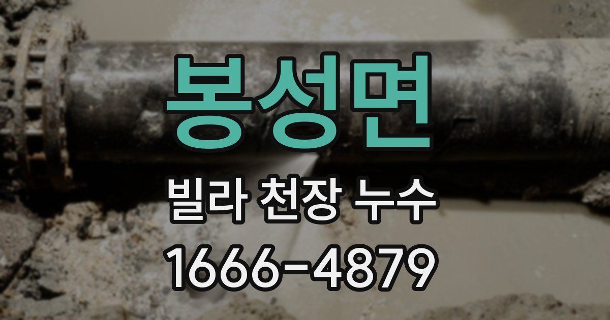 봉성면 빌라 천장 누수
