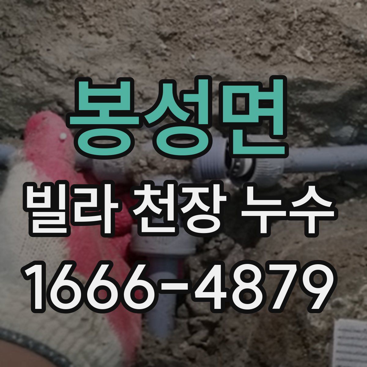 봉성면 빌라 천장 누수