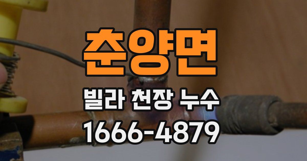 춘양면 빌라 천장 누수