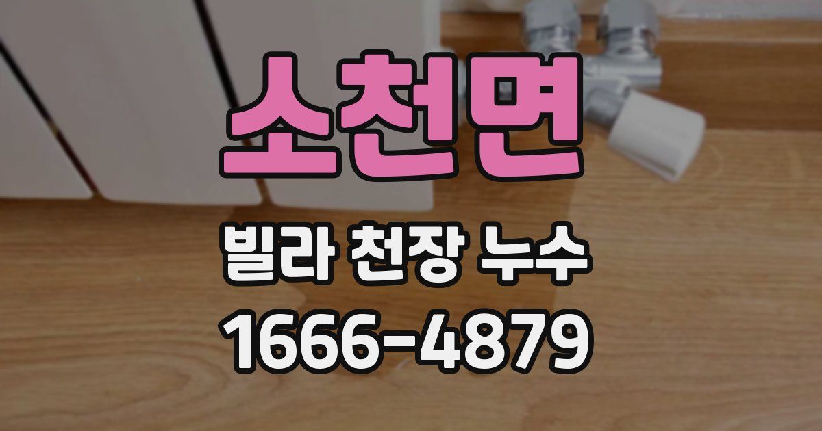 소천면 빌라 천장 누수