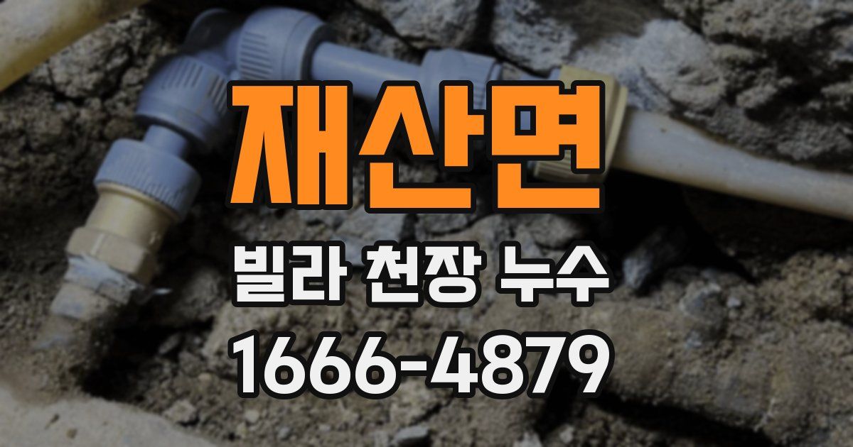 재산면 빌라 천장 누수