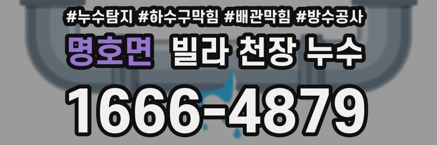 명호면 빌라 천장 누수