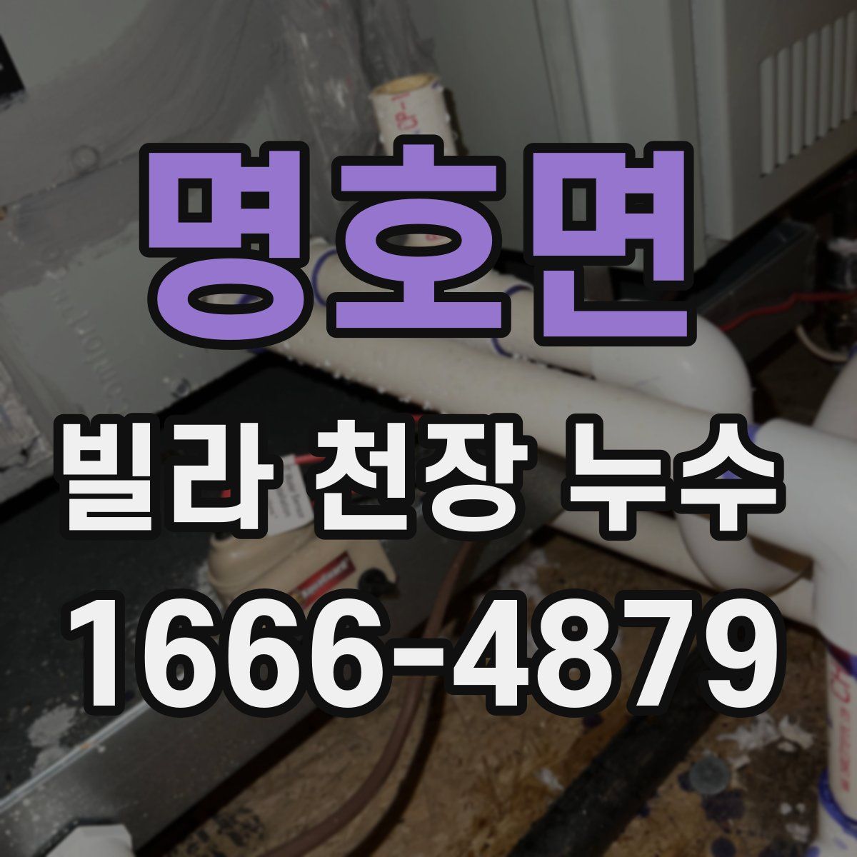 명호면 빌라 천장 누수