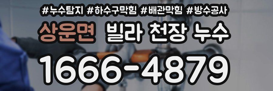 상운면 빌라 천장 누수