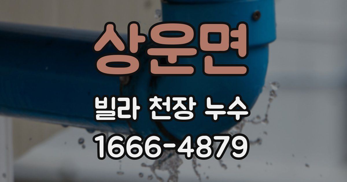 상운면 빌라 천장 누수