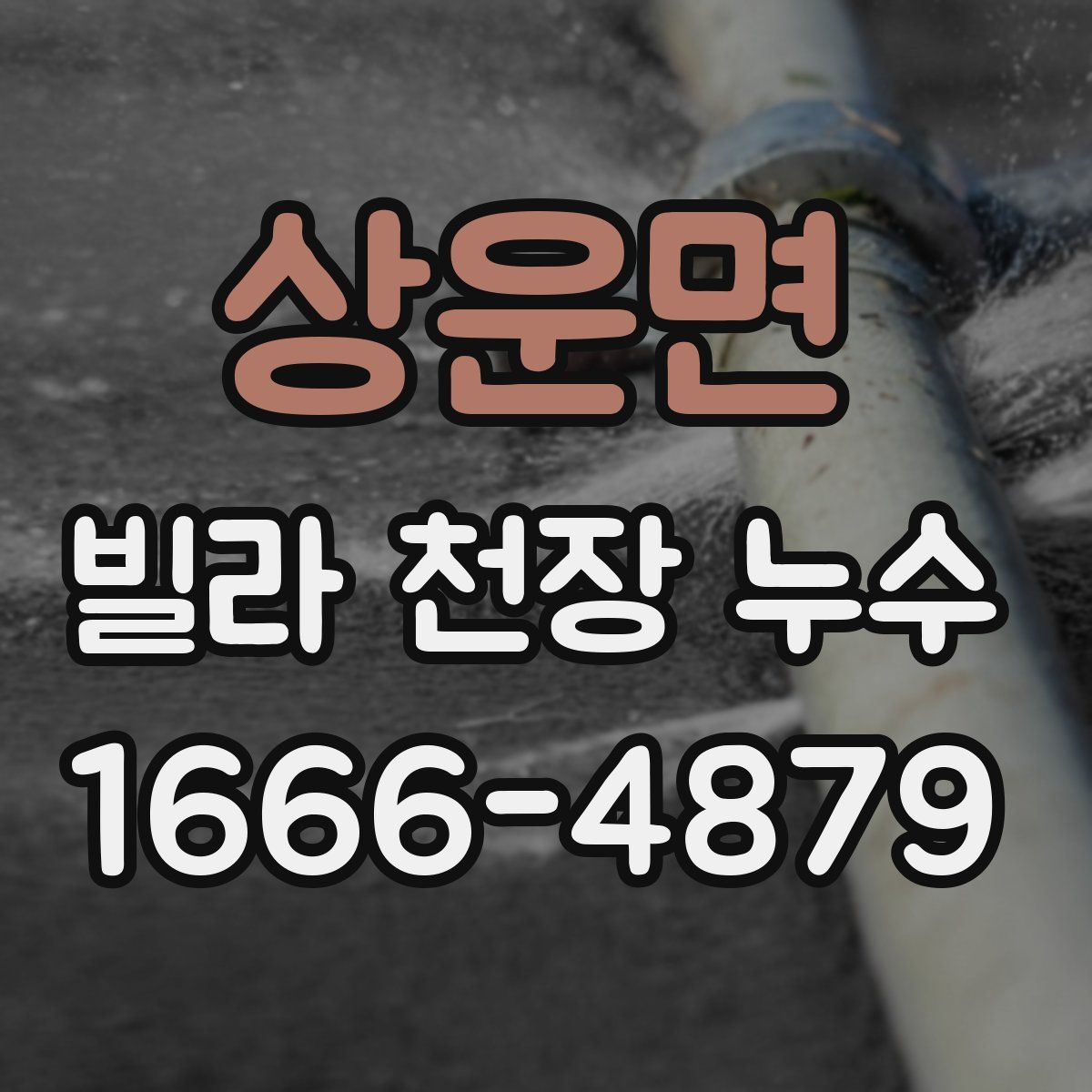 상운면 빌라 천장 누수