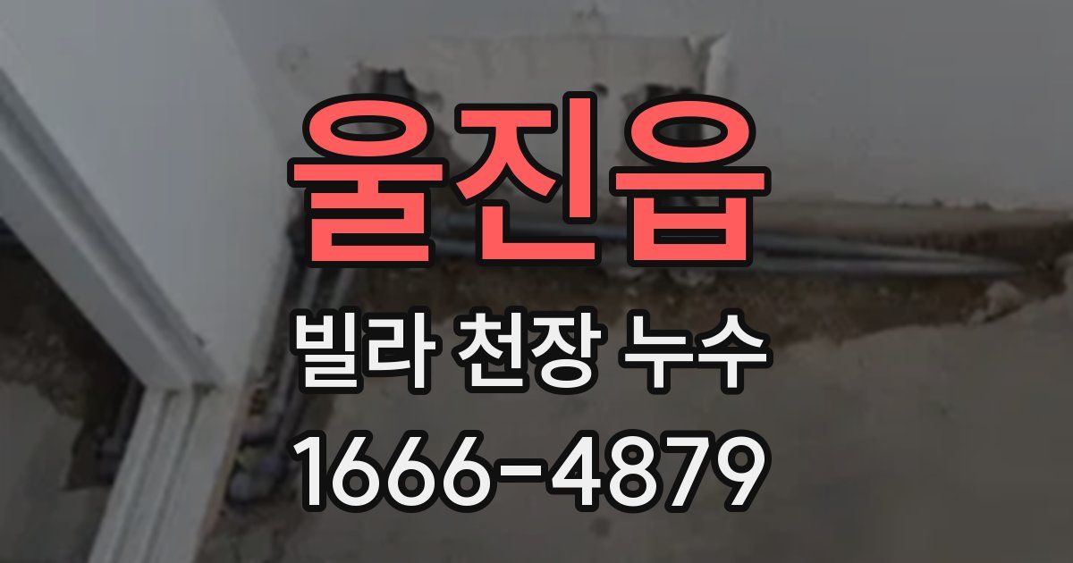 울진읍 빌라 천장 누수