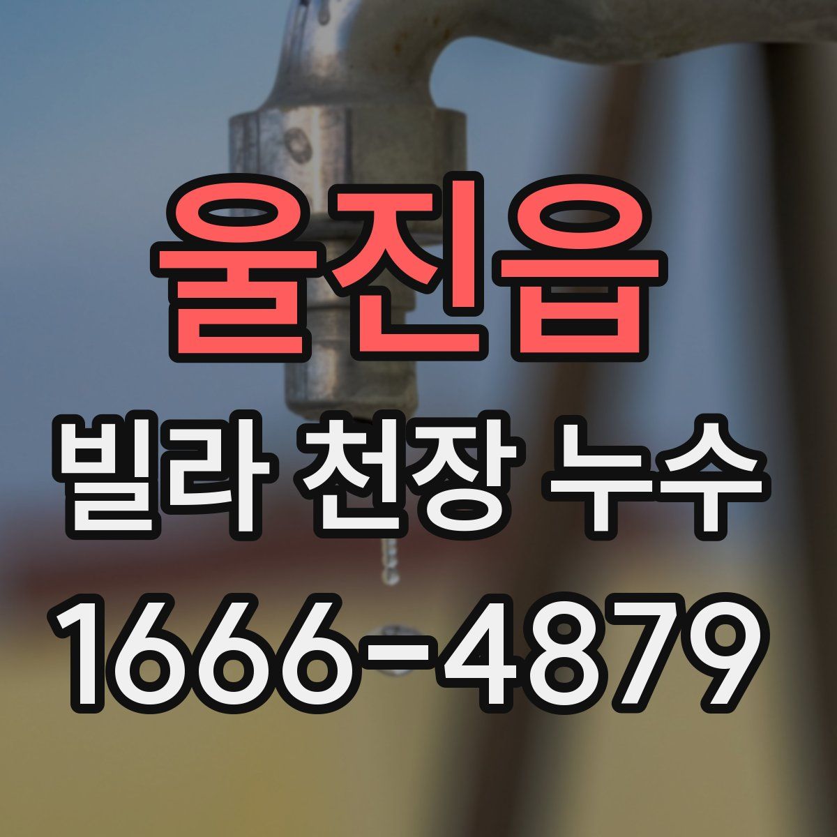 울진읍 빌라 천장 누수