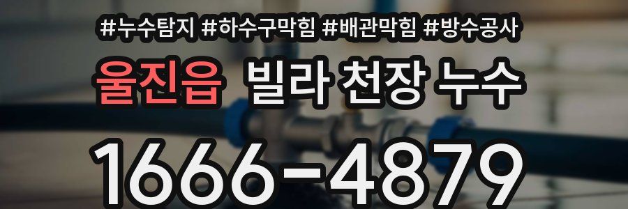 울진읍 빌라 천장 누수