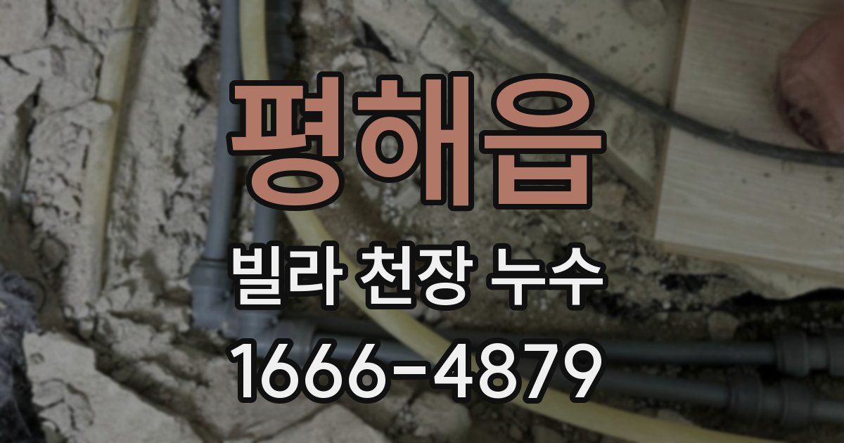평해읍 빌라 천장 누수