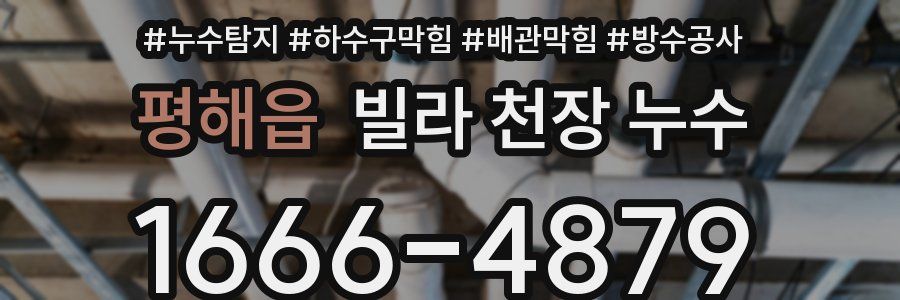 평해읍 빌라 천장 누수
