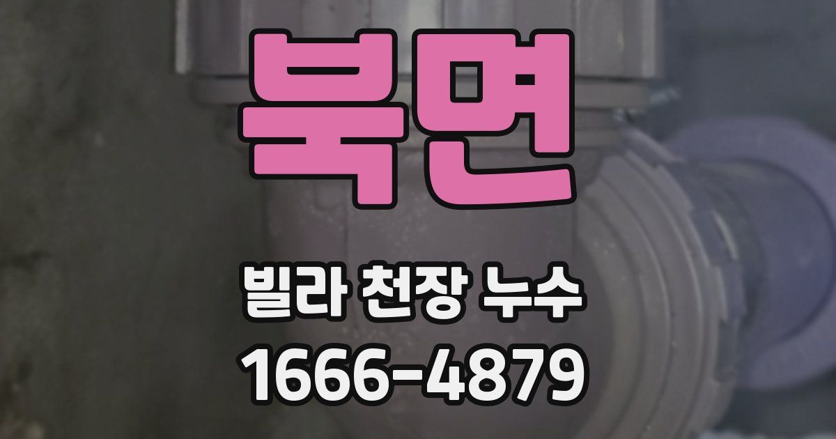 북면 빌라 천장 누수