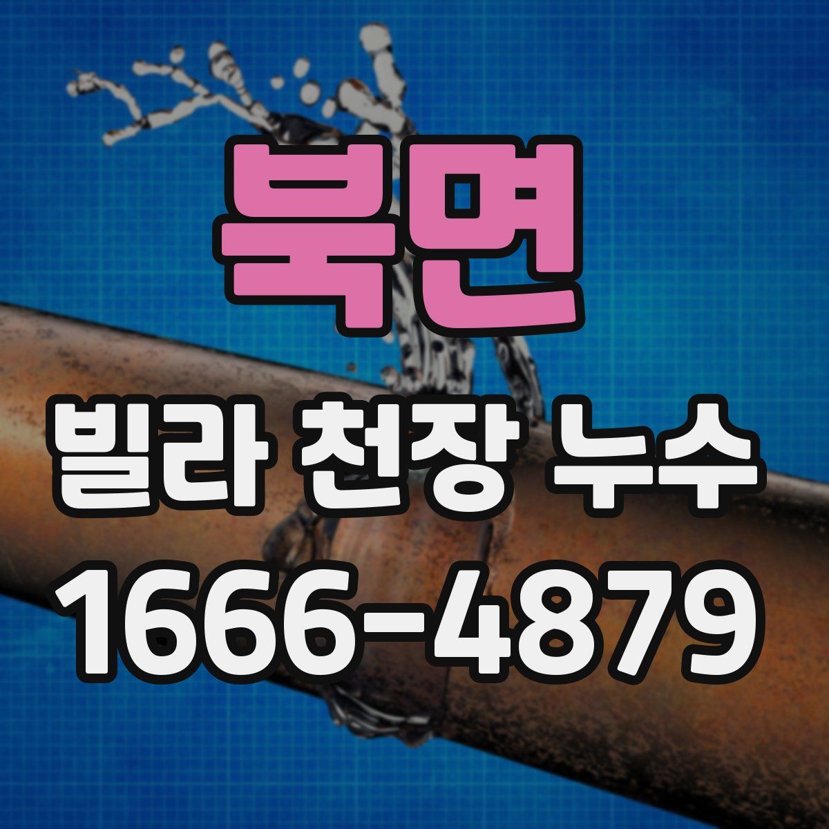 북면 빌라 천장 누수