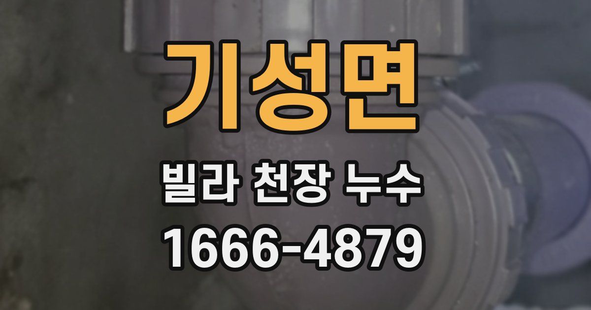 기성면 빌라 천장 누수
