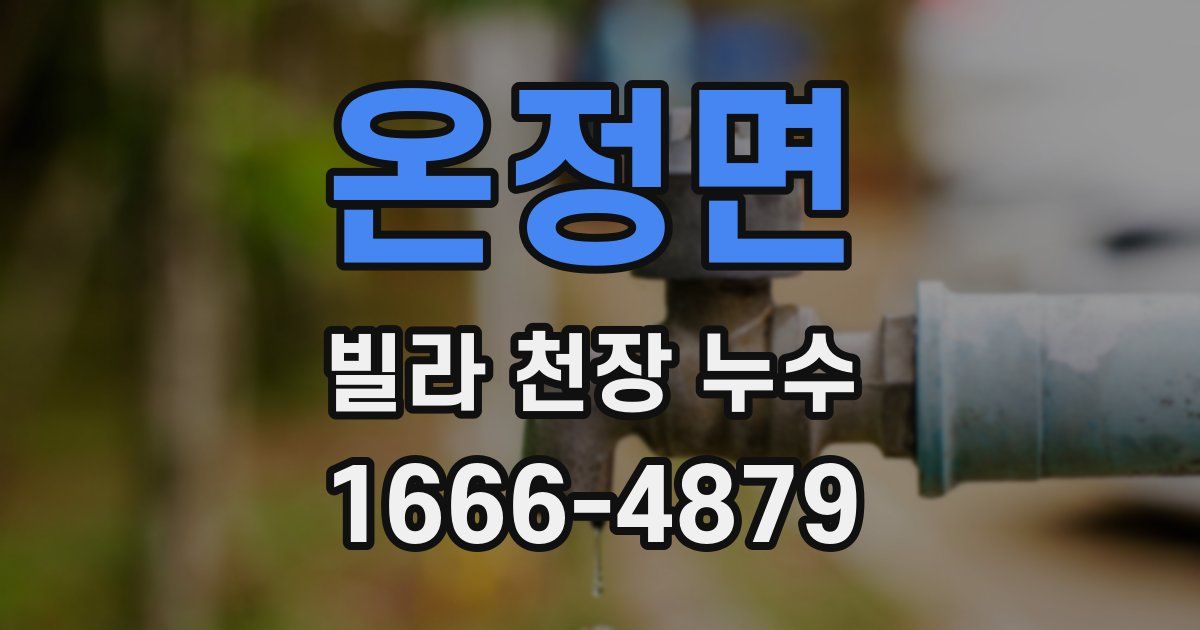 온정면 빌라 천장 누수