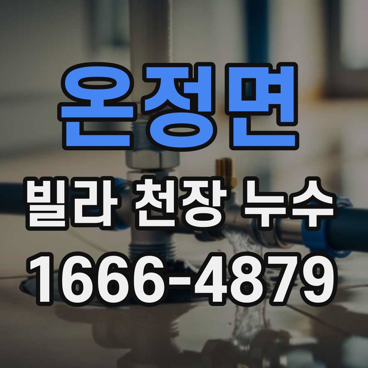 온정면 빌라 천장 누수