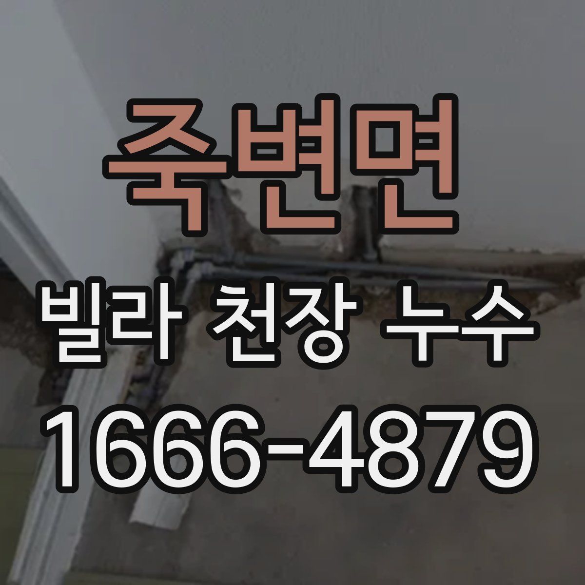 죽변면 빌라 천장 누수