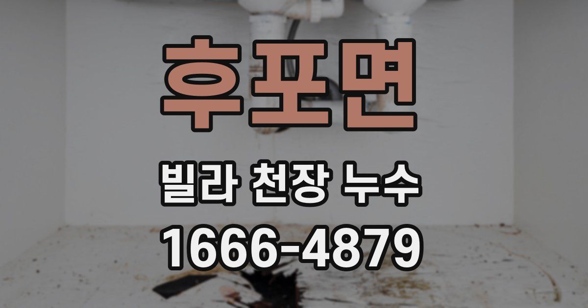 후포면 빌라 천장 누수