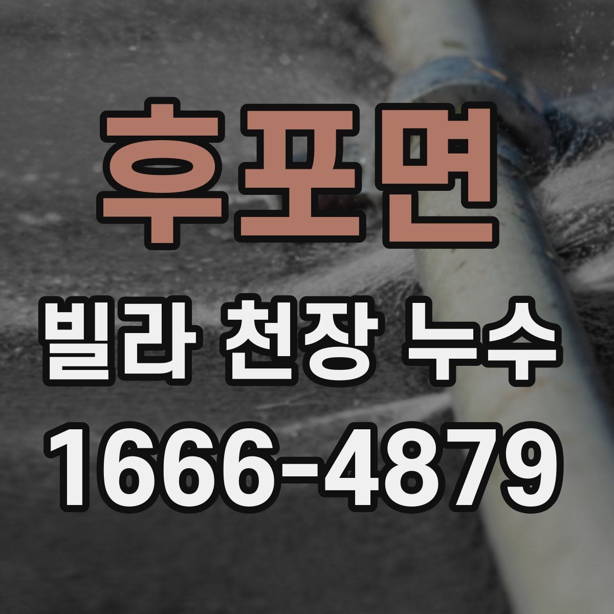 후포면 빌라 천장 누수
