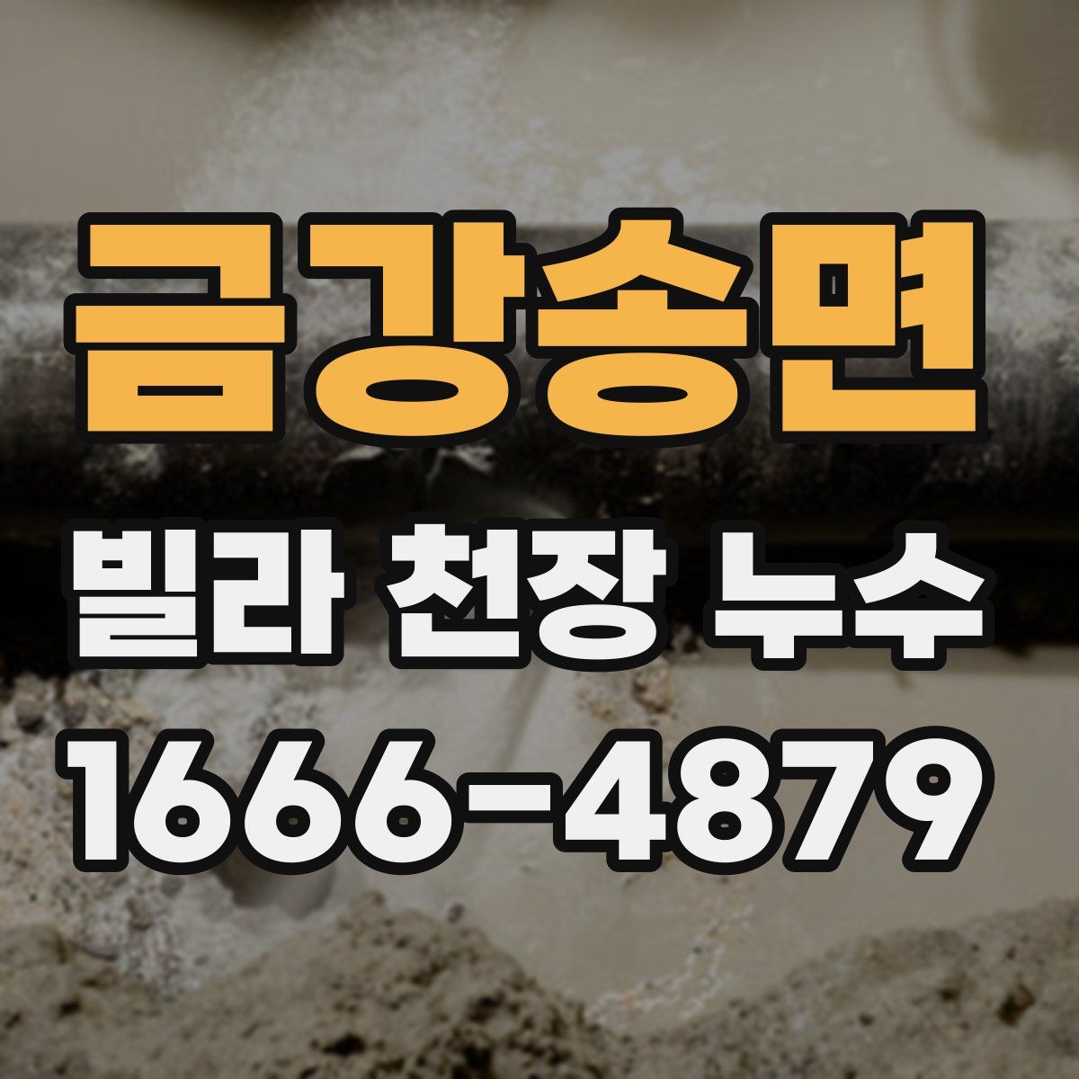 금강송면 빌라 천장 누수