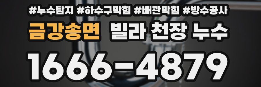 금강송면 빌라 천장 누수