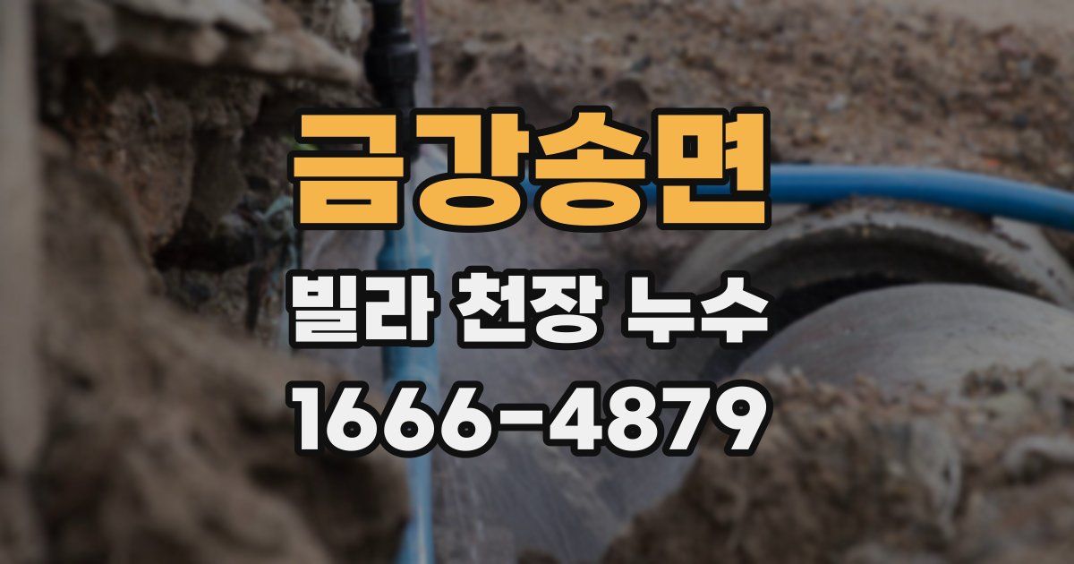 금강송면 빌라 천장 누수
