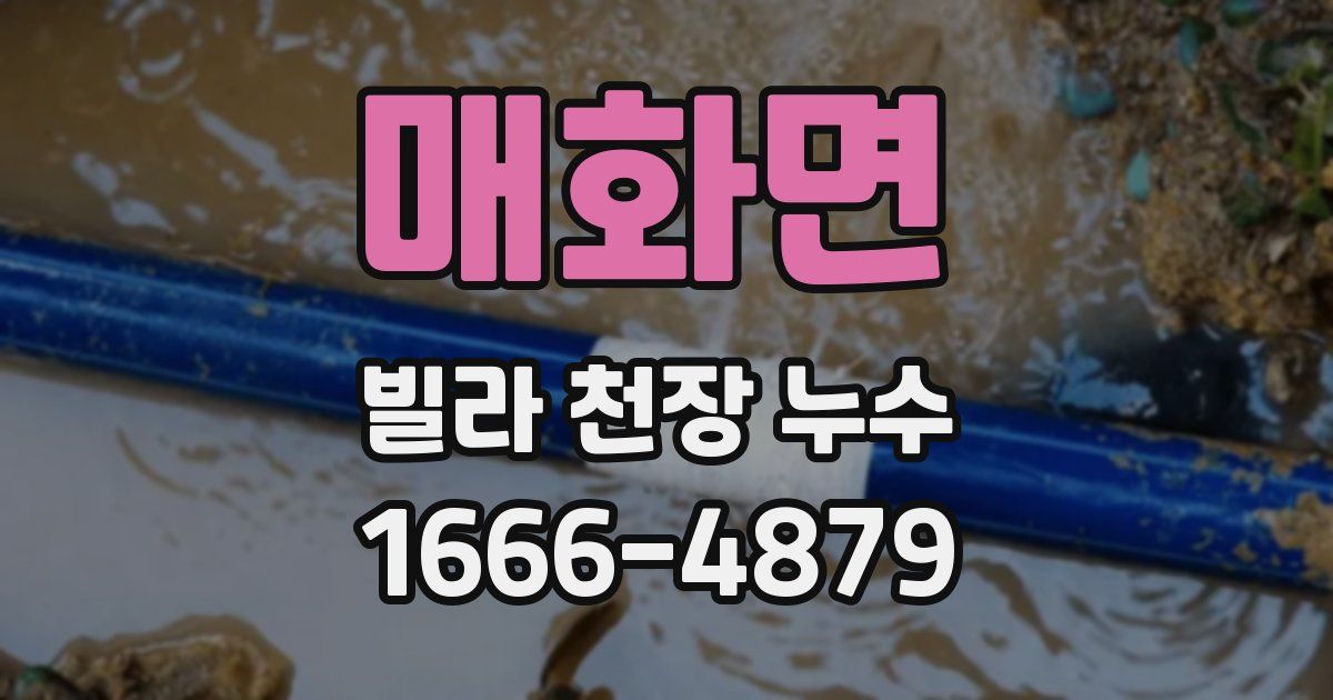 매화면 빌라 천장 누수