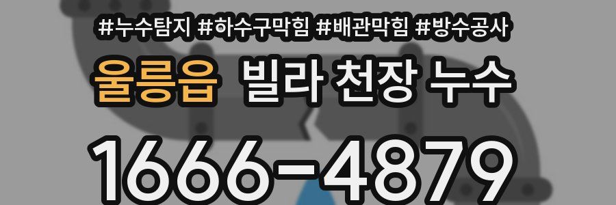 울릉읍 빌라 천장 누수