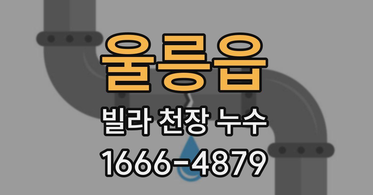 울릉읍 빌라 천장 누수
