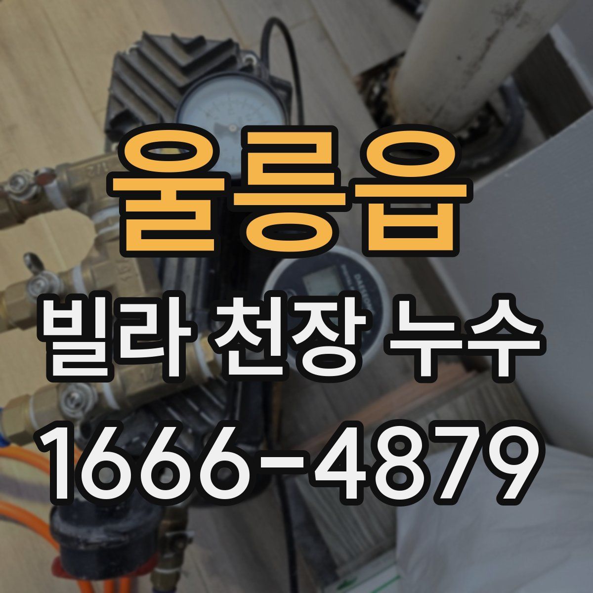 울릉읍 빌라 천장 누수