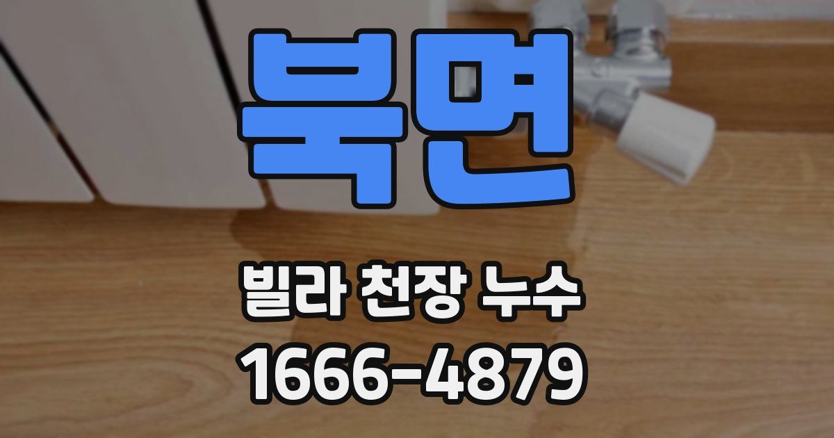 북면 빌라 천장 누수