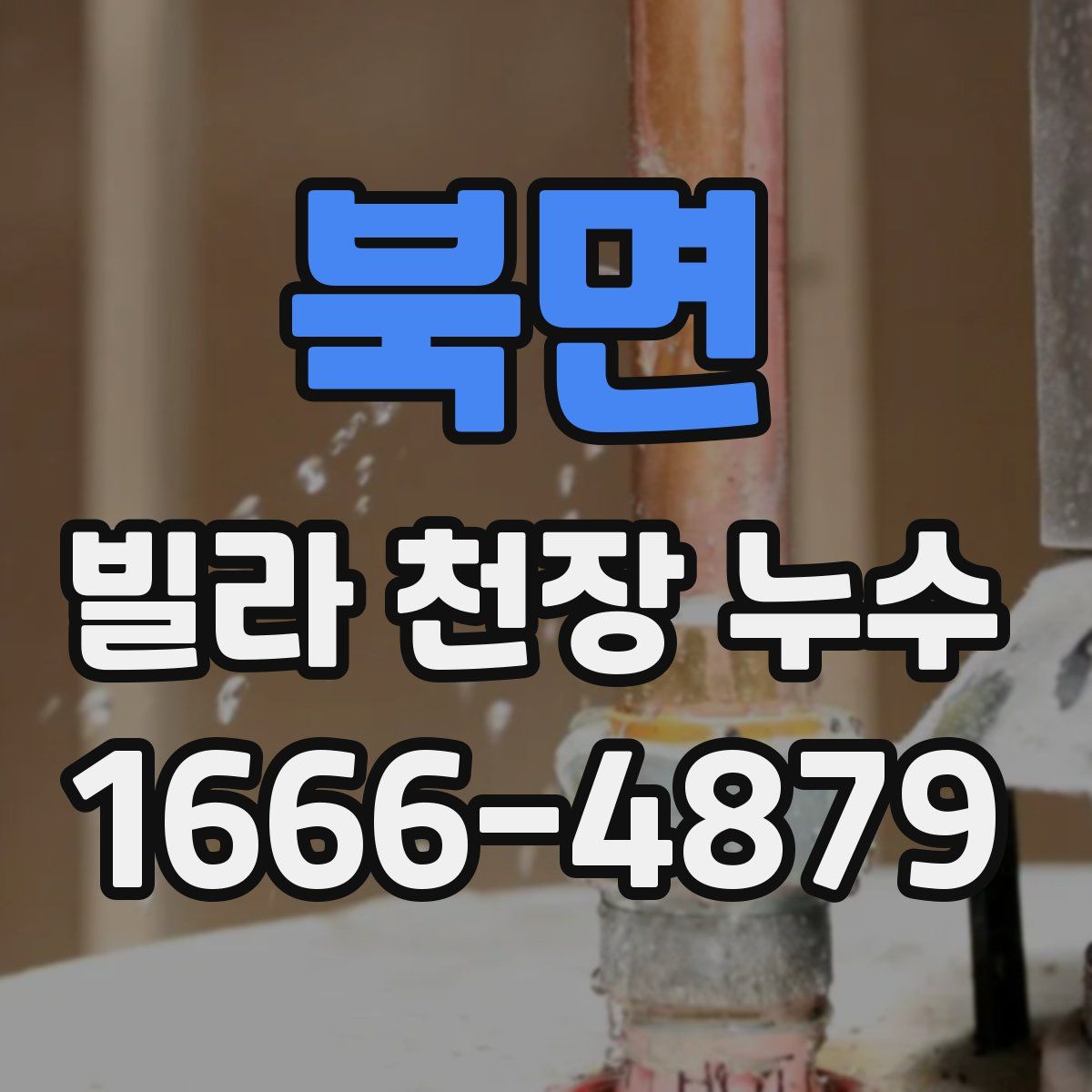 북면 빌라 천장 누수
