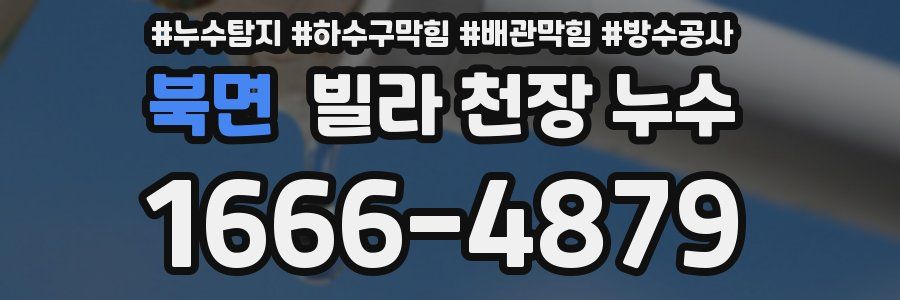 북면 빌라 천장 누수