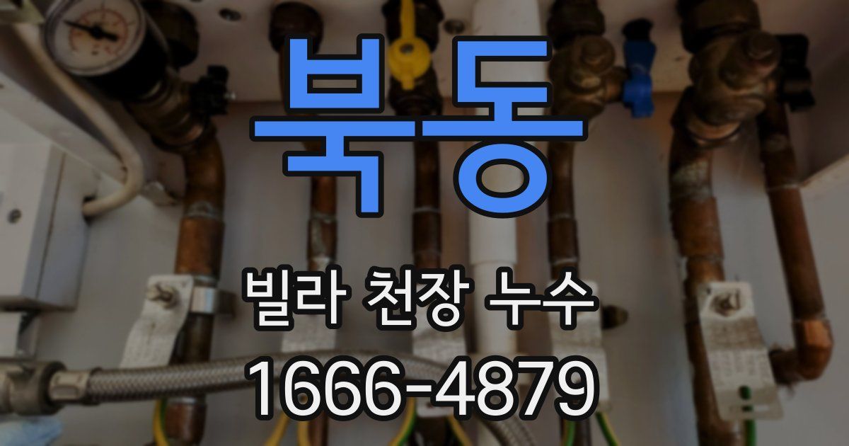 북동 빌라 천장 누수
