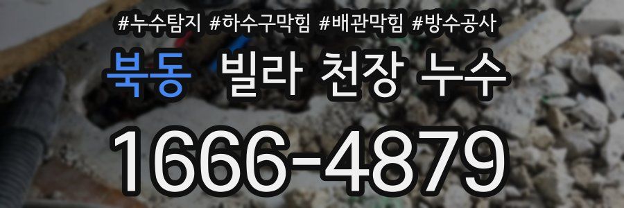 북동 빌라 천장 누수