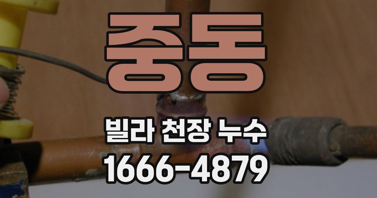 중동 빌라 천장 누수