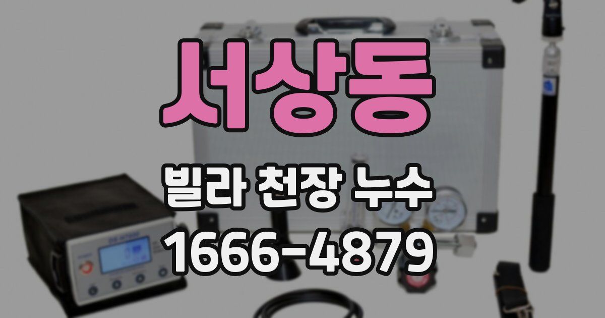 서상동 빌라 천장 누수