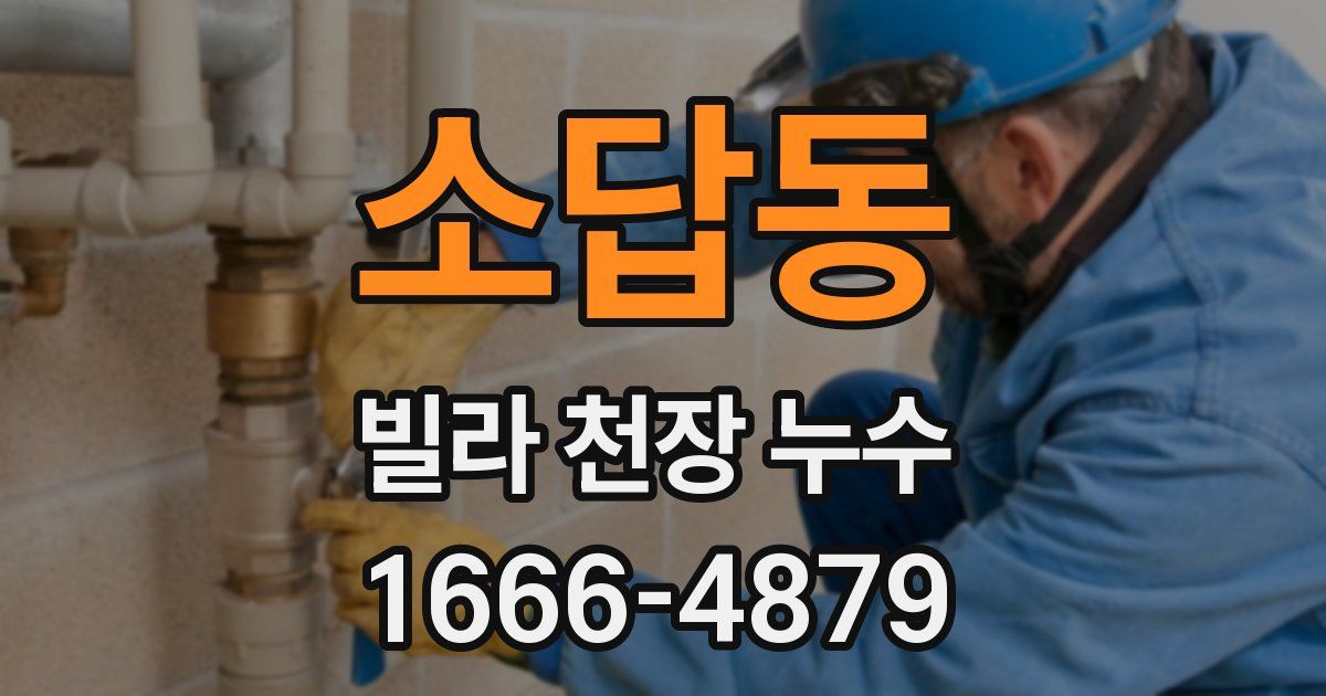 소답동 빌라 천장 누수