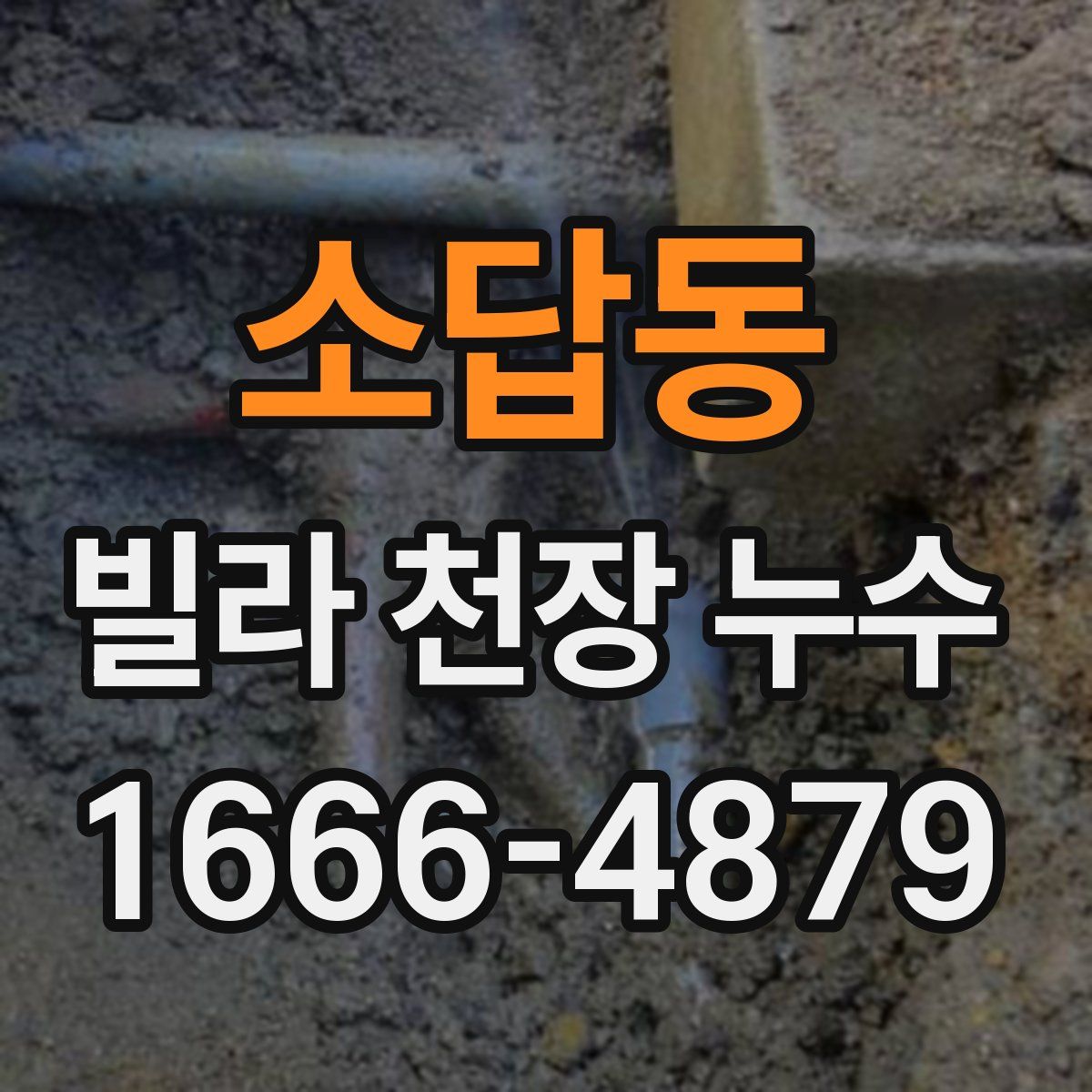소답동 빌라 천장 누수