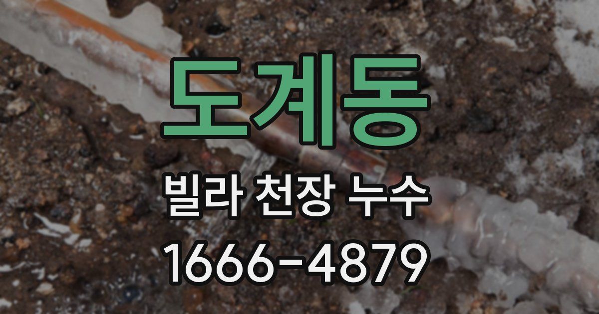 도계동 빌라 천장 누수