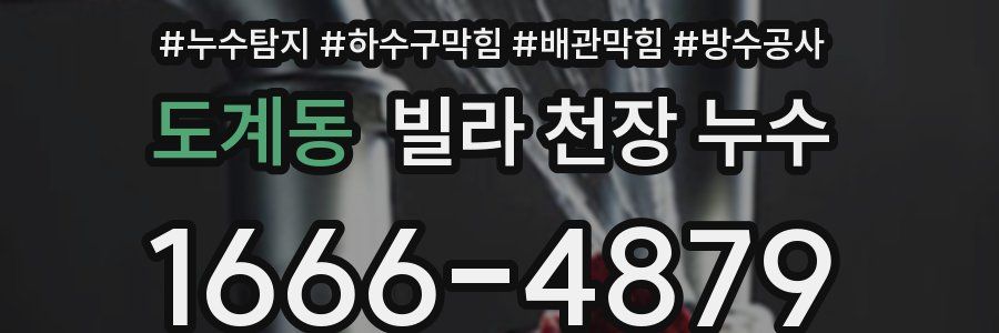 도계동 빌라 천장 누수