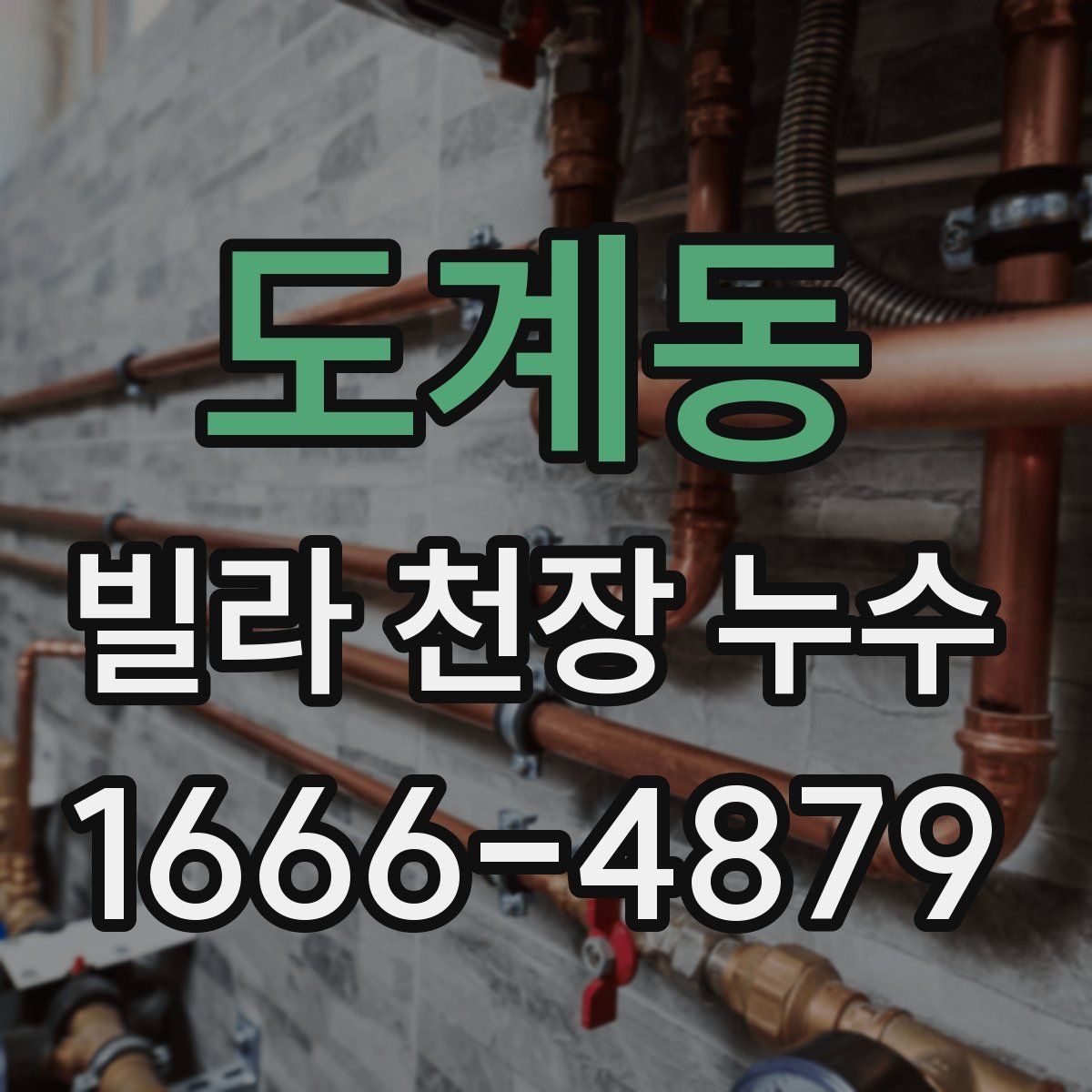 도계동 빌라 천장 누수