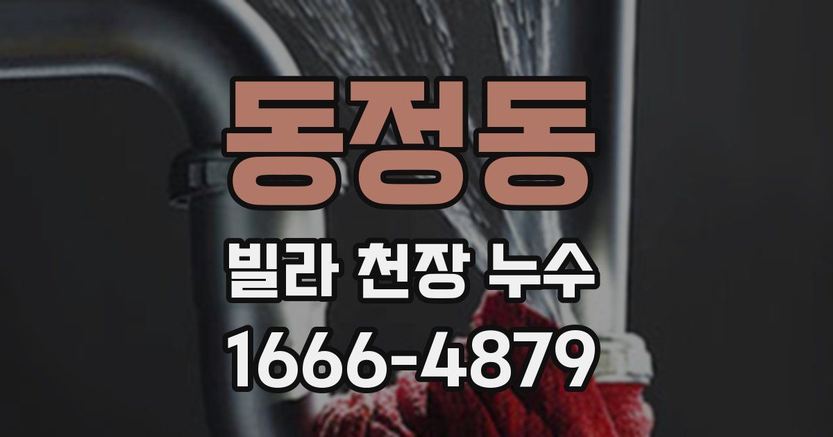 동정동 빌라 천장 누수