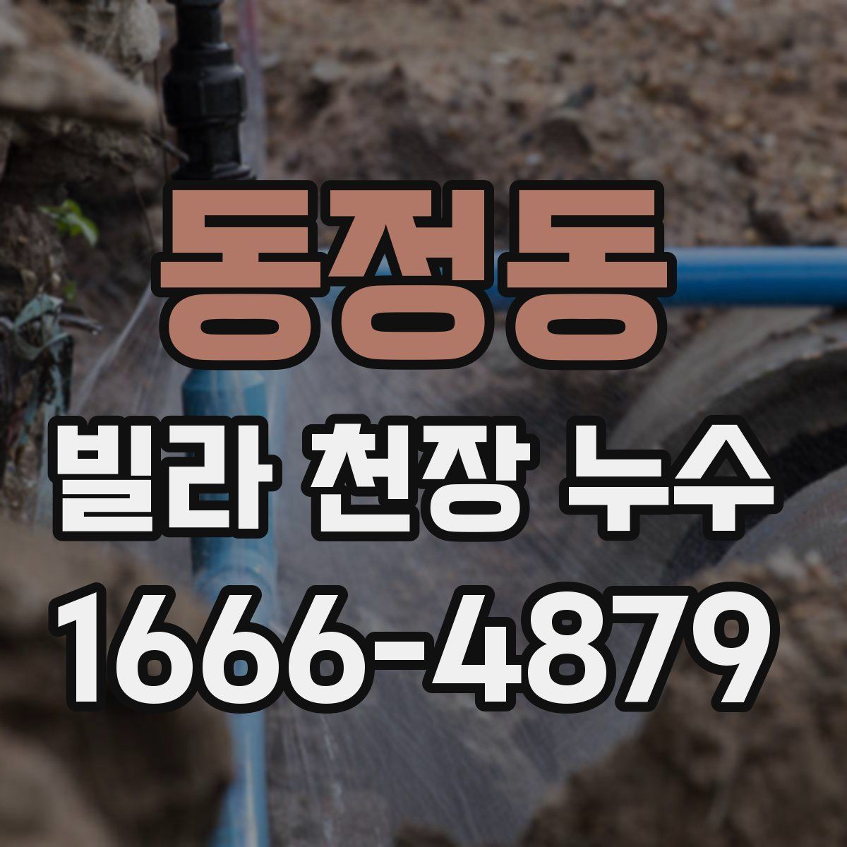 동정동 빌라 천장 누수