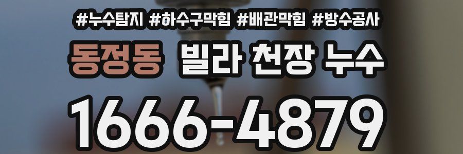 동정동 빌라 천장 누수