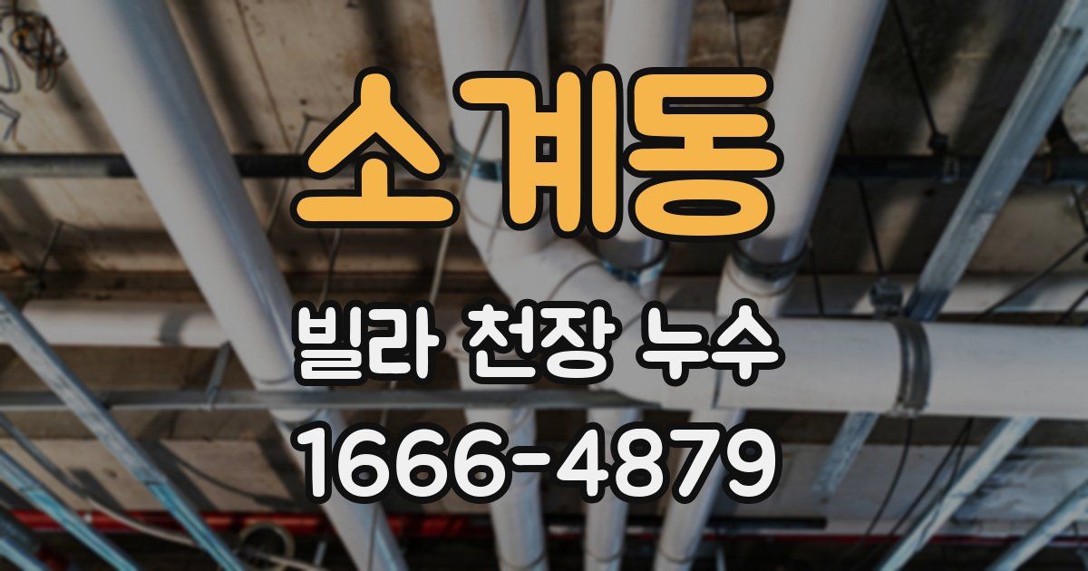 소계동 빌라 천장 누수